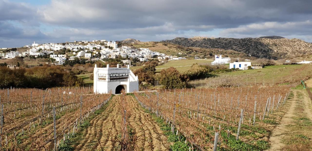 Villa Arokaria Στενή Εξωτερικό φωτογραφία