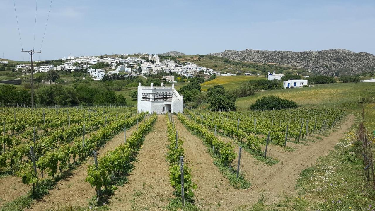 Villa Arokaria Στενή Εξωτερικό φωτογραφία