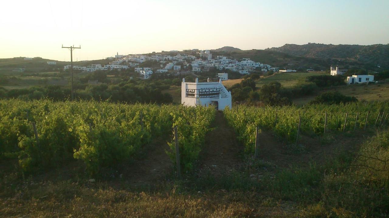 Villa Arokaria Στενή Εξωτερικό φωτογραφία
